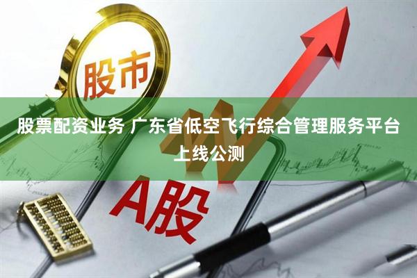 股票配资业务 广东省低空飞行综合管理服务平台上线公测