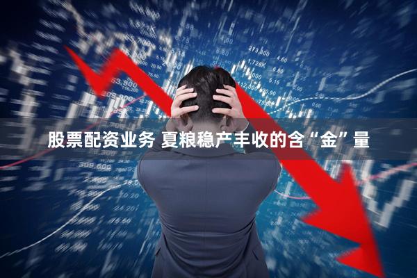 股票配资业务 夏粮稳产丰收的含“金”量