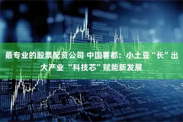 最专业的股票配资公司 中国薯都：小土豆“长”出大产业 “科技芯”赋能新发展